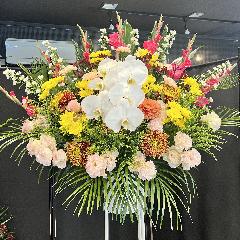 �P�i�@���܂����������X�^���h