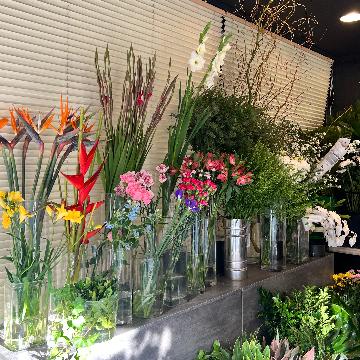 ԉ͂zBIԑȂǃt[MtǵytWert[lbgz