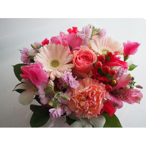 �t�悱�������s���N2