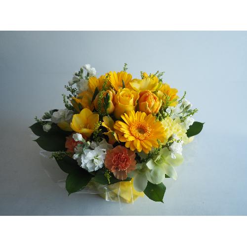 �z���܂�C�G���[