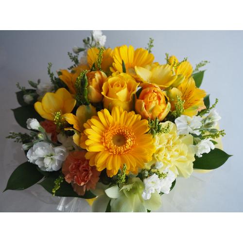 �z���܂�C�G���[2