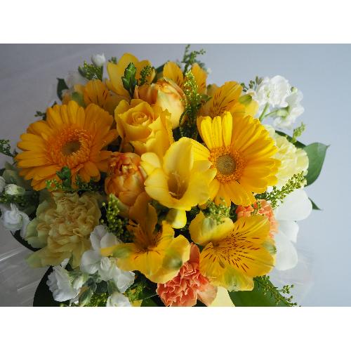 �z���܂�C�G���[3