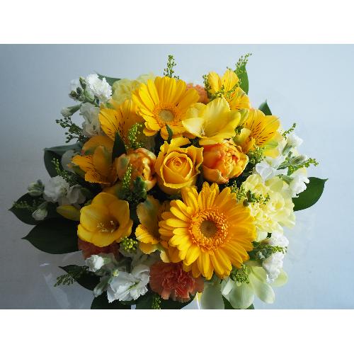 �z���܂�C�G���[4