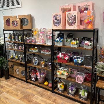 ���̑��摜