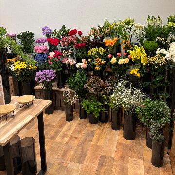 �X�^�b�t�摜