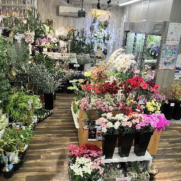 �X�^�b�t�摜