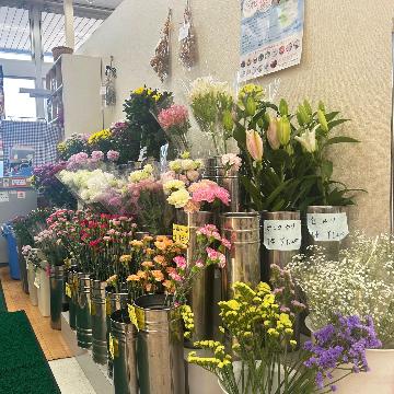 �X�^�b�t�摜