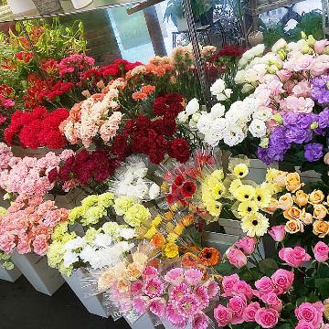 ���̑��摜