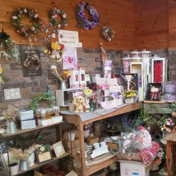 �X�^�b�t�摜