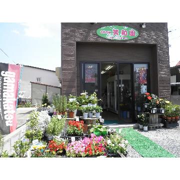 青森県弘前市の花屋 お花の店 笑和園 をご紹介 フラワーギフトはプロのお花屋さんにおまかせ フジテレビフラワーネット