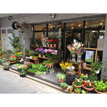宮城県仙台市 青葉区の花屋 Funayama Flower Factory をご紹介 フラワーギフトはプロのお花屋 さんにおまかせ フジテレビフラワーネット
