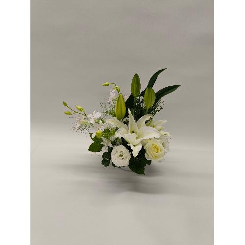 �A�����W�����g