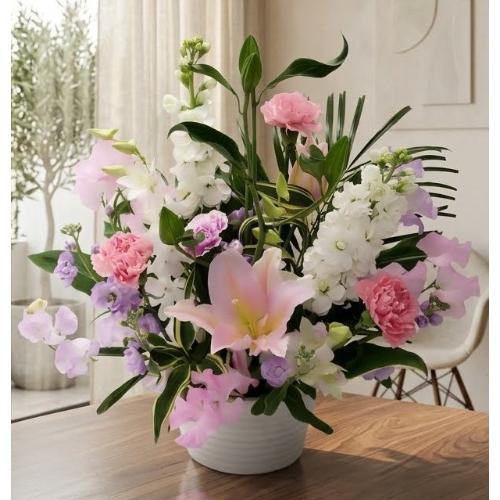 �A�����W�����g�A