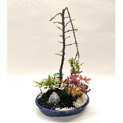 ���|�~��