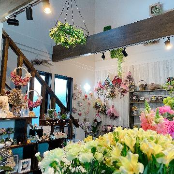 ���̑��摜