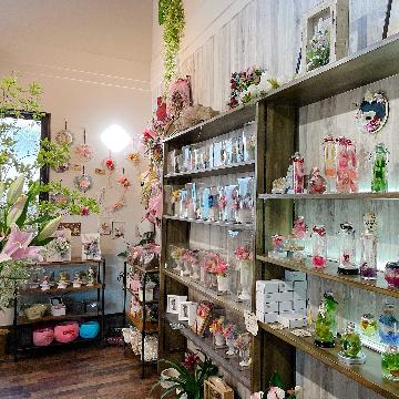 �X�^�b�t�摜