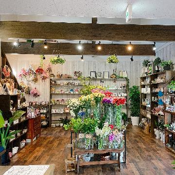 �X�ܓ��ω摜