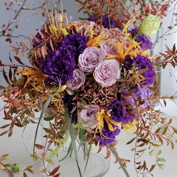 ���̑��摜