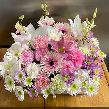 ���̑��摜