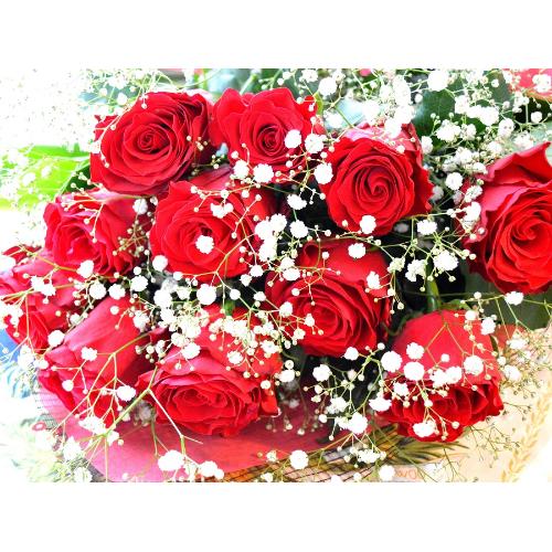 １ダースの赤いバラ  小花入り（花束）赤系　バレンタイン、ホワイトデイ、結婚記念日、プロポーズ、恋人の日、クリスマス3