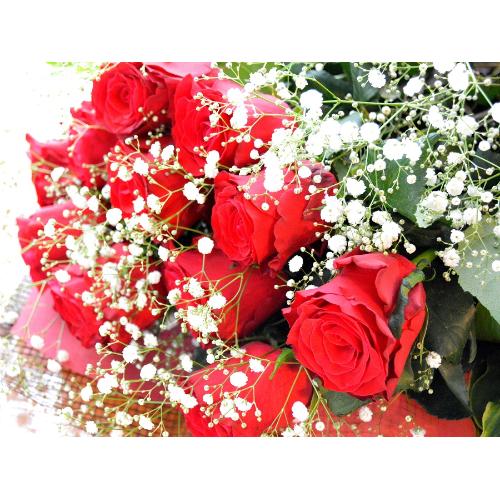 １ダースの赤いバラ  小花入り（花束）赤系　バレンタイン、ホワイトデイ、結婚記念日、プロポーズ、恋人の日、クリスマス4