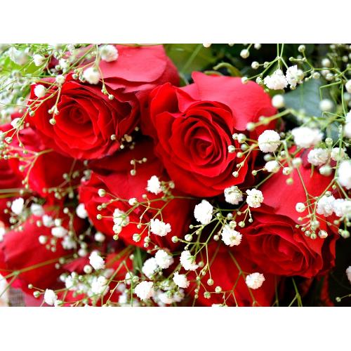 １ダースの赤いバラ  小花入り（花束）赤系　バレンタイン、ホワイトデイ、結婚記念日、プロポーズ、恋人の日、クリスマス5