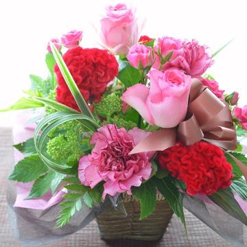 ＜フジテレビフラワーネット＞ キュートなアレンジ PinkSpice (バラのフラワーアレンジメント）ピンク系 誕生日、結婚記念日、お祝い、敬老の日