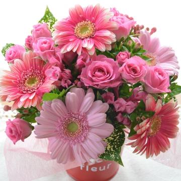 ＜フジテレビフラワーネット＞ キュートなアレンジメント PinkSurprise (ガーベラのフラワーアレンジメント）ピンク系 誕生日、結婚記念日、お祝い、敬老の日