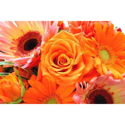 キュートなアレンジ　OrangeDance　（バラとガーベラのフラワーアレンジメント）イエローオレンジ系　お誕生日、結婚記念日、お祝い、敬老の日5