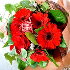 ���塼�Ȥʥ֡������ɣ���Red���ʥХ�β�«���ַϡ����������뺧��ǰ�������ˤ������̡�ȯɽ�񡢷�Ϸ����