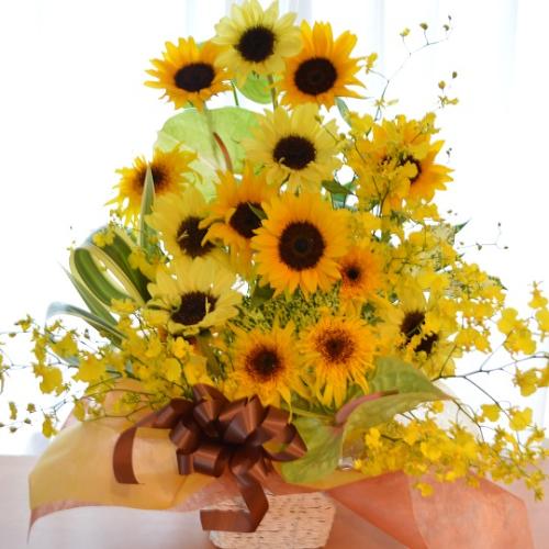 A@AW@@SunFlower@Mix