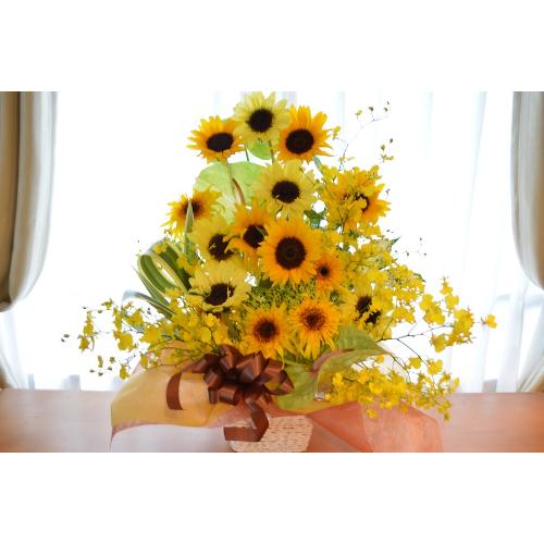 A@AW@@SunFlower@Mix2