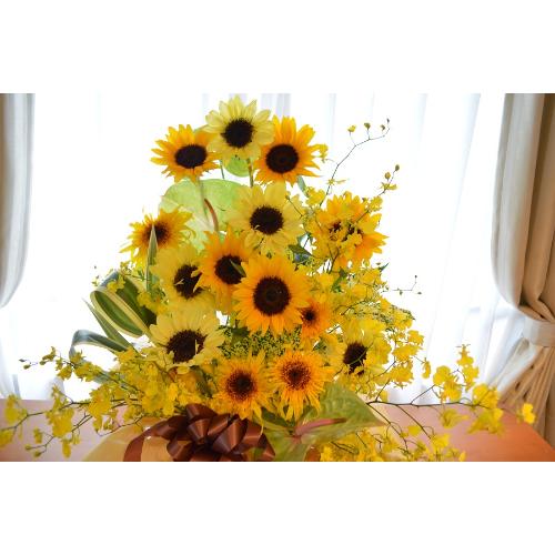 A@AW@@SunFlower@Mix3