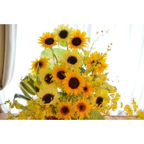 A@AW@@SunFlower@Mix4