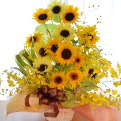 A@AW@@SunFlower@Mix