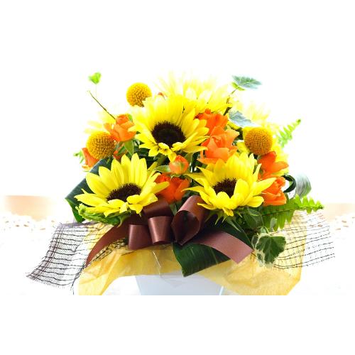v`ґȃAWg@SummerMelody@iq}̃t[AWgjFn@aALOAjA\ART[gACu3