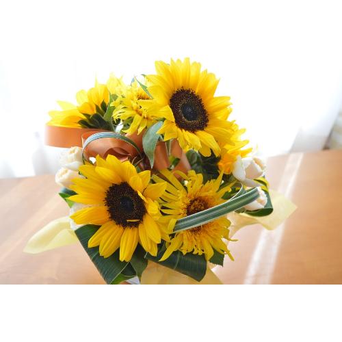 L[gȃAWg@PureSummer@iq}̃t[AWgjCG[IWn4