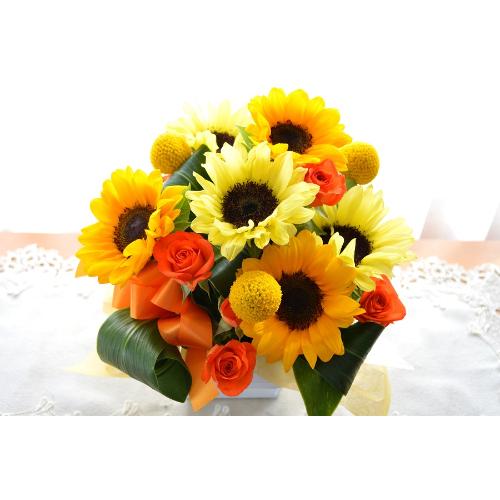 L[gȃAWg@HappySummer@iq}̃t[AWgjCG[IWn2