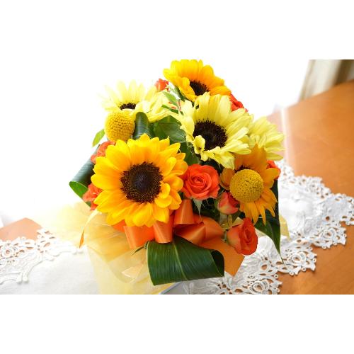 L[gȃAWg@HappySummer@iq}̃t[AWgjCG[IWn3