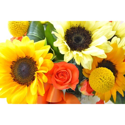 L[gȃAWg@HappySummer@iq}̃t[AWgjCG[IWn5