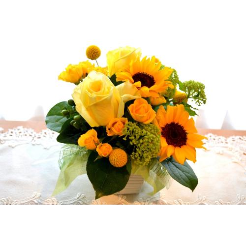 L[gȃAW@YellowSun@iq}ƃõt[AWgjCG[IWn2