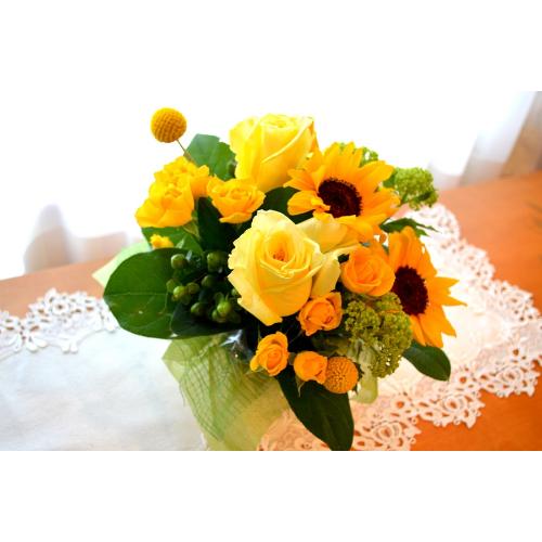 L[gȃAW@YellowSun@iq}ƃõt[AWgjCG[IWn3