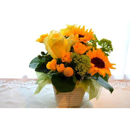 L[gȃAW@YellowSun@iq}ƃõt[AWgjCG[IWn4