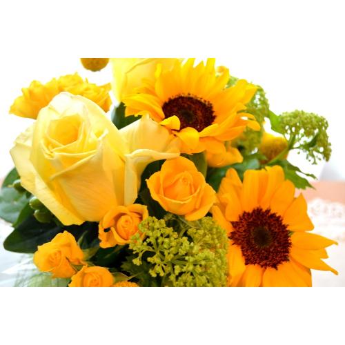 L[gȃAW@YellowSun@iq}ƃõt[AWgjCG[IWn5