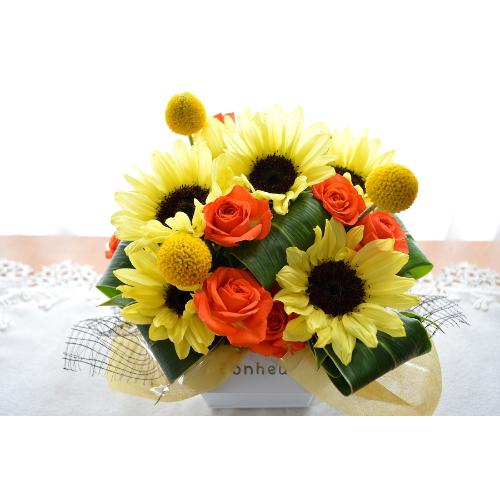 L[gȃAW@PineapYellow@iq}̃t[AWgjCG[IWn2