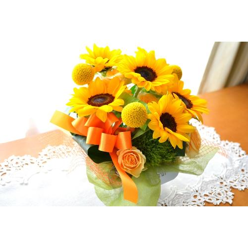 L[gȃAW@nSun@iq}̃t[AWgjCG[IWn4