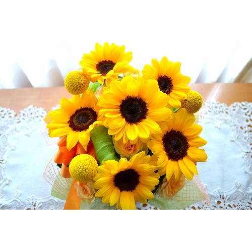 L[gȃAW@nSun@iq}̃t[AWgjCG[IWn5