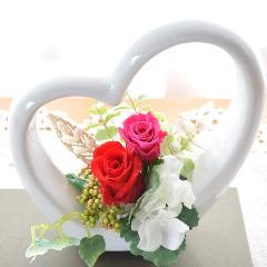 �ץꥶ���֥ɥե�����󥯥졼�롡��åɡ����֥Х�ȥ����ƥ��ե������ե������������뺧��ǰ�������۽ˤ������ñۤ��ˤ������ˤ�