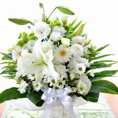 �������ѡ�����󥸥��ȡ��㤦�������ʥ��ȥȥ륳�����祦�Υե�����󥸥��ȡˡ���ϡ���������������ߡ����ߡ�����ߡ�̿����ˡ��