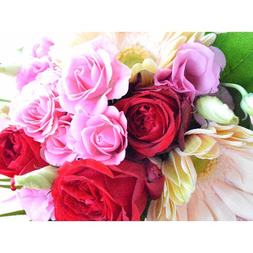 プチ贅沢なブーケ　PinkRed　（バラとガーベラの花束）　ピンク赤系　誕生日・結婚記念日・送別・お祝い・発表会・ライブ5